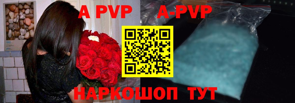 A PVP СК Фрязино