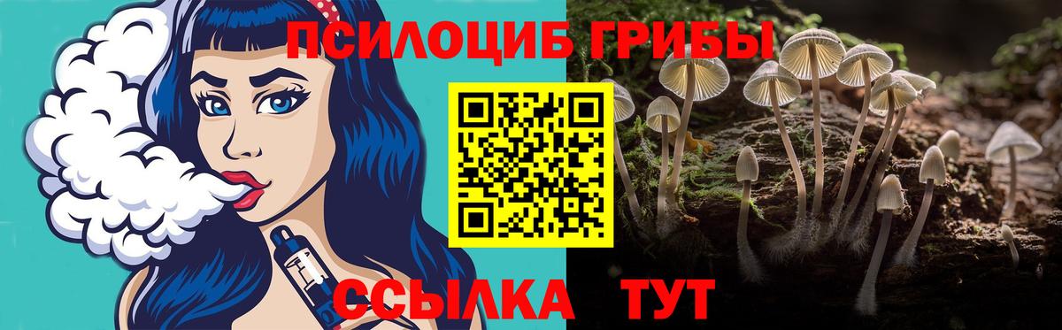 Галлюциногенные грибы мицелий  Псилоцибиновые грибы мухоморы  Вход с VPN  Фрязино 